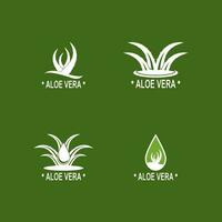 aloë vera logo illustratie sjabloon ontwerp vector