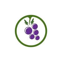 modern fruit druif logo sjabloon vector