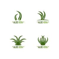 aloë vera logo illustratie sjabloon ontwerp vector