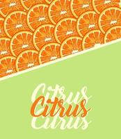 citrusvruchtenposter met belettering en sinaasappelpatroon vector