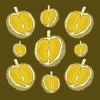 durian vector illustratie voor grafisch ontwerp en decoratief element