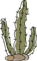 hand- getrokken stetsonia cactus geïsoleerd Aan wit achtergrond vector