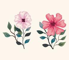 set bloemen takken met bladeren natuur decoratie vector