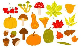 vector reeks van herfst pictogrammen. helder achtergrond voor oogst tijd. plakboek verzameling van vallen seizoen elementen. herfst groet kaart