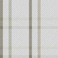 Schotse ruit plaid vector naadloos patroon. klassiek Schots Schotse ruit ontwerp. voor overhemd afdrukken, kleding, jurken, tafelkleden, dekens, beddengoed, papier, dekbed, stof en andere textiel producten.