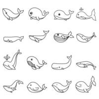 baby walvis icoon vector set. walvis illustratie teken verzameling. sperma walvis symbool. zee leven logo.