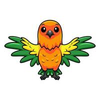 schattig zon conure papegaai tekenfilm vliegend vector