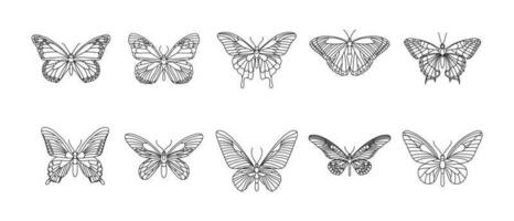 vlinder schets illustratie vector reeks