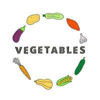 tekening kleurrijk voedsel groente pictogrammen in cirkel. vector