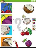 bij elkaar passen tekenfilm fruit en groenten en knipsels leerzaam taak vector