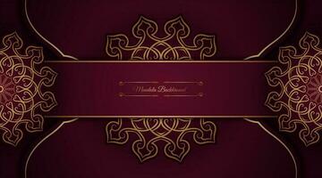 luxe achtergrond met gouden mandala ornament vector