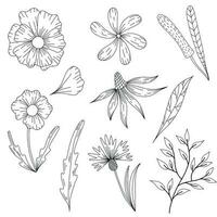 lijn kunst bloem set. romantisch elementen voor decor. reeks van schetsen van verschillend zomer bloemen. vector