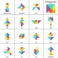 tangram puzzel spel voor kinderen. vector kleurrijk verzameling met divers geïsoleerd planten. geïsoleerd tangram planten pictogrammen Aan wit achtergrond. vector illustratie
