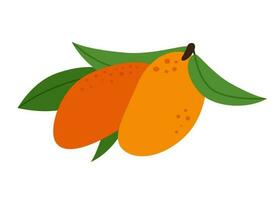 twee mango met bladeren exotisch fruit vegetarisch voedsel icoon vector