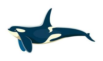 moordenaar walvis dier karakter, tekenfilm vector orka