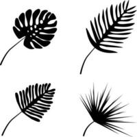 palm bladeren, silhouetten, vector. vector