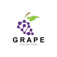 druif logo, tuin vector, vers Purper fruit, wijn merk ontwerp, gemakkelijk illustratie sjabloon vector