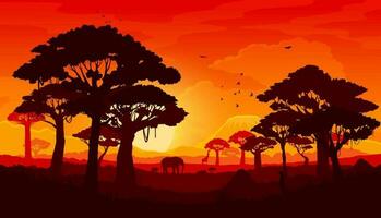 Afrikaanse savanne zonsondergang landschap silhouet vector