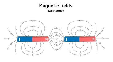 bar magneet infographic afdrukken voor school. magnetisch velden onderwijs poster. magnetisme uitleg. vector