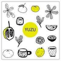 vector reeks van tekening yuzu fruit elementen. vers drankjes, vitamine cocktails, citrus vruchten.