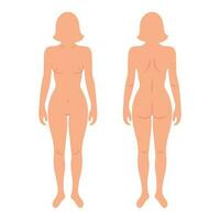 terug en voorkant silhouetten van vrouw menselijk lichaam. anatomie. medisch en wetenschappelijk concept. illustratie, vector