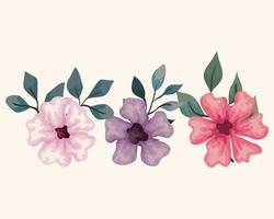 set bloemen takken met bladeren natuur decoratie vector