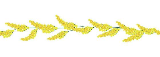 mimosa geel horizontaal grens naadloos patroon vector