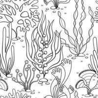 naadloos vector zwart en wit patroon met zeewier. schets clip art van onderwater- zee en oceaan algen. ontwerp Aan marinier thema. perfect voor behang, kleding stof, textiel, omhulsel papier en ander.