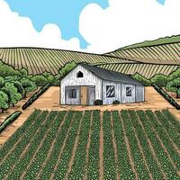 boerderij landschap met schuur in wijnoogst stijl. hand- getrokken illustratie vector