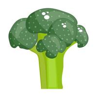 broccoli rijke groente vector