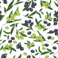 olijf- patroon. naadloos achtergrond met olijven Aan boom tak, tekenfilm bloemen afdrukken van middellandse Zee fruit voor omhulsel papier, textiel, kleding stof. vector structuur