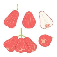 roos appel fruit in geheel en voor de helft voorwerp set. exotisch fruit illustratie vector