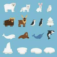 schattig arctisch dieren verzameling in tekenfilm stijl. vector