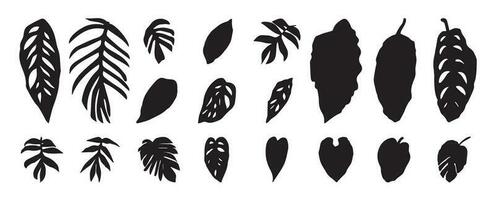 verzameling van silhouet blad elementen. reeks van tropisch planten, blad tak, palm, monstera bladeren, gebladerte. hand- getrokken van botanisch vectoren voor decor, website, grafisch, decoratief.