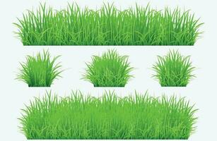 groen gras grenzen instellen vector