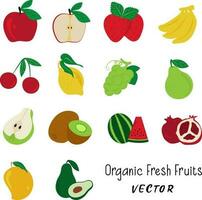 vrij hand- getrokken vers biologisch fruit vector grafiek verzameling voor banier en marketing.