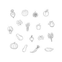 fruit en groenten reeks vector illustratie voor voedsel industrie