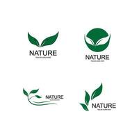 blad ecologie natuur element vector