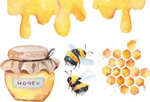 bijen en honing aquarel vector