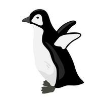 schattig baby pinguïn. vlak vector illustratie geïsoleerd Aan wit. polair dier