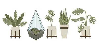 reeks van kamerplanten in potten Aan wit achtergrond. vector illustratie.