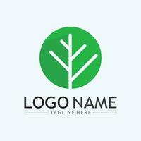 logo's van groene boom blad ecologie vector