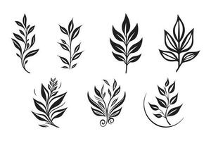 hand- getrokken wijnoogst blad en bloem logo in vlak stijl vector