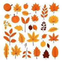 verzameling reeks van herfst vallen bladeren decoratie element, vlak stijl illustratie. vector