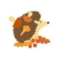 een egel in de herfst Woud zit Aan kleurrijk bladeren met bessen. een illustratie van een egel met bladeren in vlak stijl geïsoleerd Aan een wit achtergrond. vector