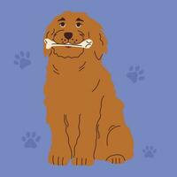 hond met speelgoed voor poetsen of masseren tanden. hond tandheelkundig Gezondheid. hoektand tandheelkundig zorg en hygiëne concept. vector illustratie