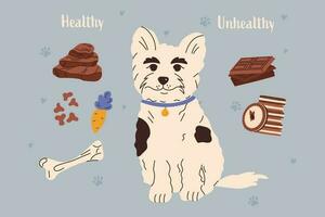 hond voedsel. gom ziekte preventie. hond tandheelkundig zorg concept. vector illustratie