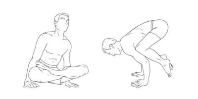 yogi mannen in handstand haan en krop of kraan poseert. yoga hand- staan voor sterkte verbetering. schetsen vector illustratie