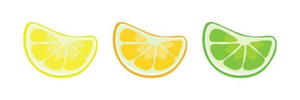 stukken van citrus fruit vector