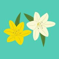 zomer bloem van Laos of lilium vector illustratie.